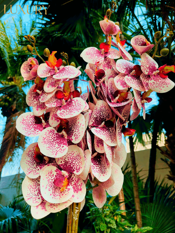 Orquídea Morada